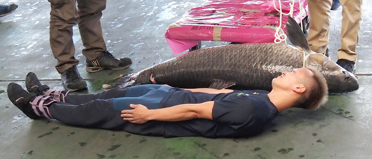 西山貴浩もびっくり！ダービー開催中の戸田で巨大魚がついに捕獲される